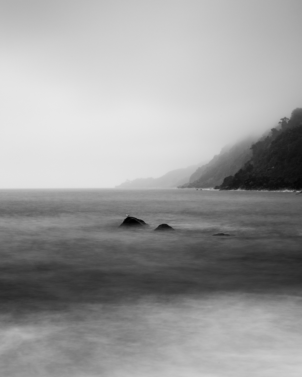 mare-gabbiano